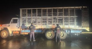 Camión torton blanco cargado con trozas de madera en rollo en Madero asegurado por la Guardia Civil.