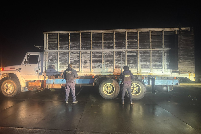 Camión torton blanco cargado con trozas de madera en rollo en Madero asegurado por la Guardia Civil.