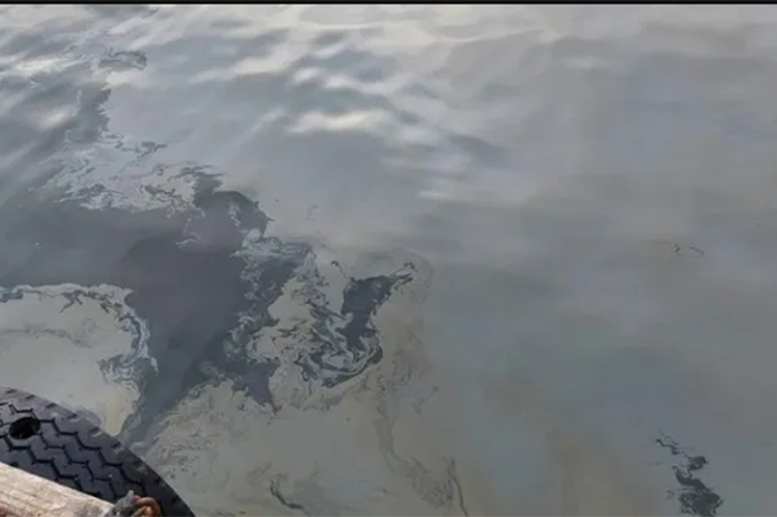 Graves afectaciones por el derrame de combustible en Bahía de Manzanillo, Colima.