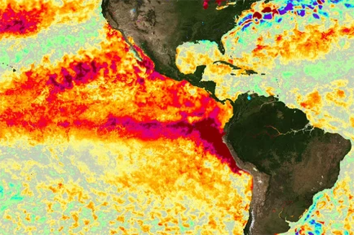 Mapa térmico satelital de la NOAA que muestra las anomalías de temperatura en el Pacífico por el fenómeno meteorológico de El Niño.