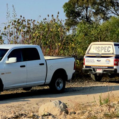 Resguardo policial en un predio agrícola de Tacámbaro tras localizarse a un hombre asesinado en huerto de aguacate.