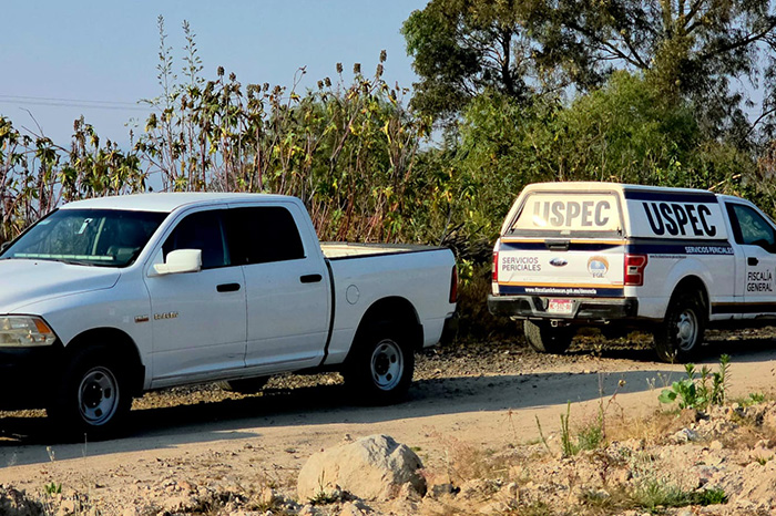 Resguardo policial en un predio agrícola de Tacámbaro tras localizarse a un hombre asesinado en huerto de aguacate.