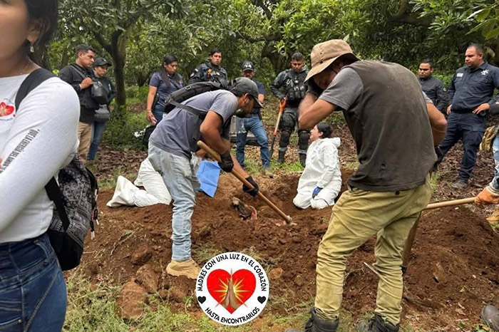 Integrantes de colectivos de búsqueda de personas desaparecidas trabajando en zona boscosa de Uruapan.