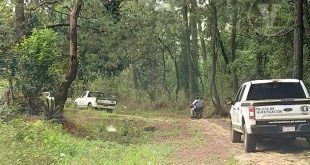 Personal de la Fiscalía General del Estado trabajando en la zona del hallazgo en una huerta de aguacate en Atapan.