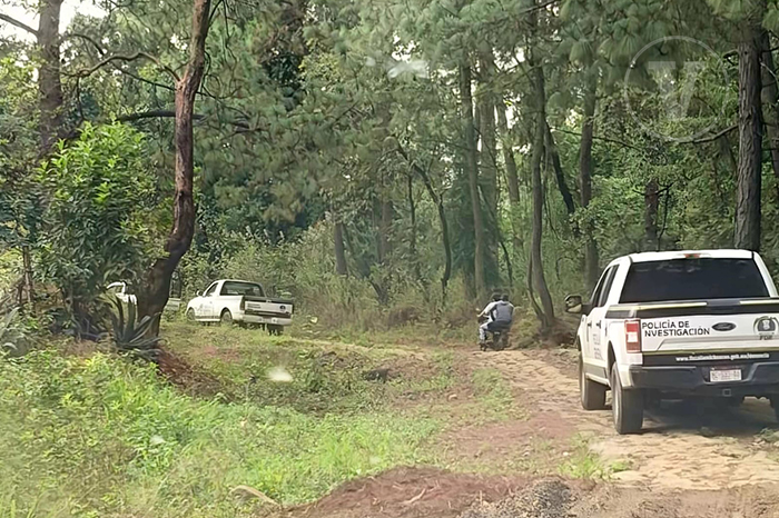 Personal de la Fiscalía General del Estado trabajando en la zona del hallazgo en una huerta de aguacate en Atapan.