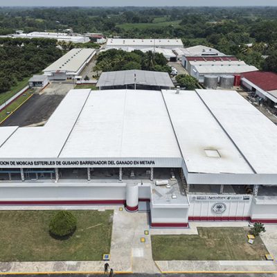 Vista aérea de la planta productora de moscas estériles.