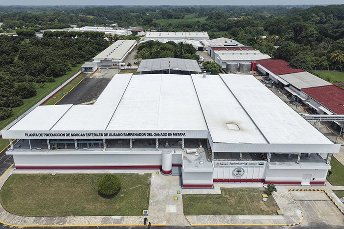 Vista aérea de la planta productora de moscas estériles.