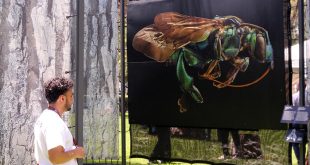 Fotografías en gran formato y esculturas de la exposición Insectus instaladas en el Parque Zoológico de Morelia.