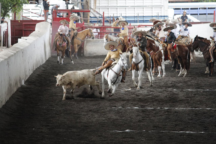 Competidor ejecutando una suerte de charrería durante la segunda jornada del Campeonato Estatal Charro Michoacán 2026.
