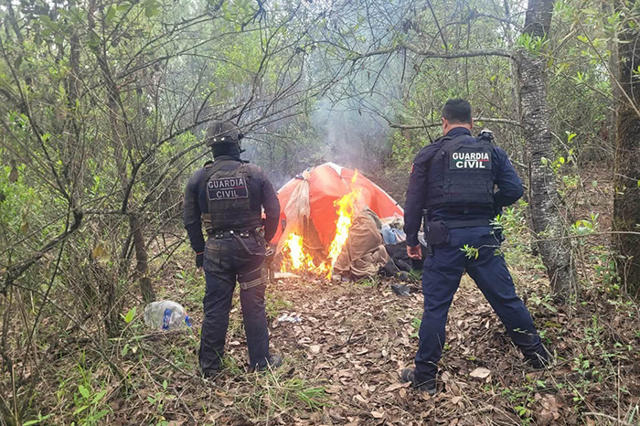 Elementos policiales resguardan cartuchos y equipo táctico decomisados en un narcocampamento en la región de Pátzcuaro.