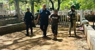 Elementos del Ejército Mexicano y Seguridad Pública resguardan las inmediaciones del rancho tras registrarse un homicidio en Nuevo Urecho.