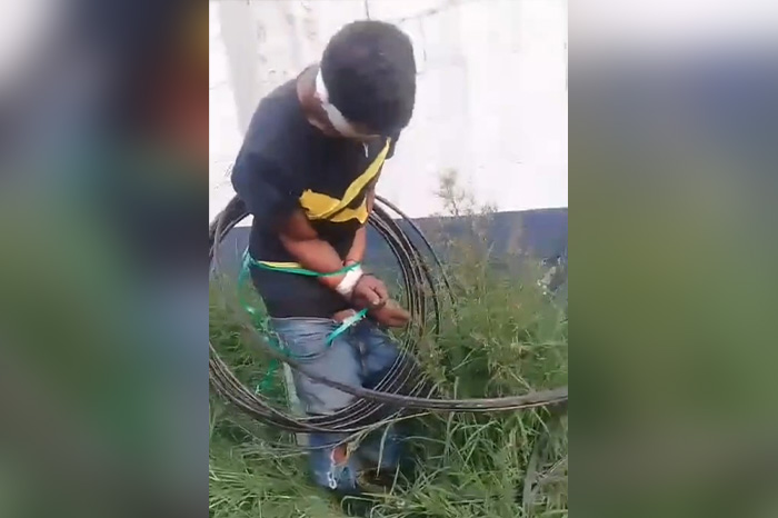 Elementos de la policía y paramédicos rescatando a un hombre luego de que vecinos amarran a un poste a presunto ladrón en Uruapan.