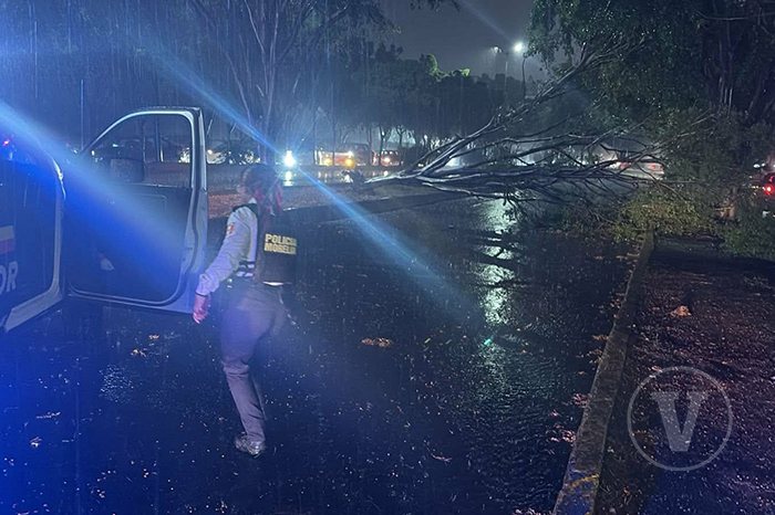 Personal de la Policía Morelia retirando ramas de un árbol caído sobre una avenida inundada durante la noche.