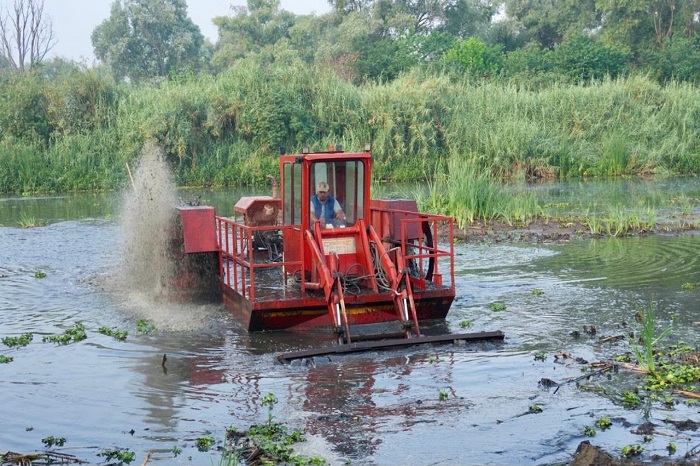 Rescate del Lago de Pátzcuaro: Rehabilitan canal de Erongarícuaro y hallan 42 nuevos manantiales