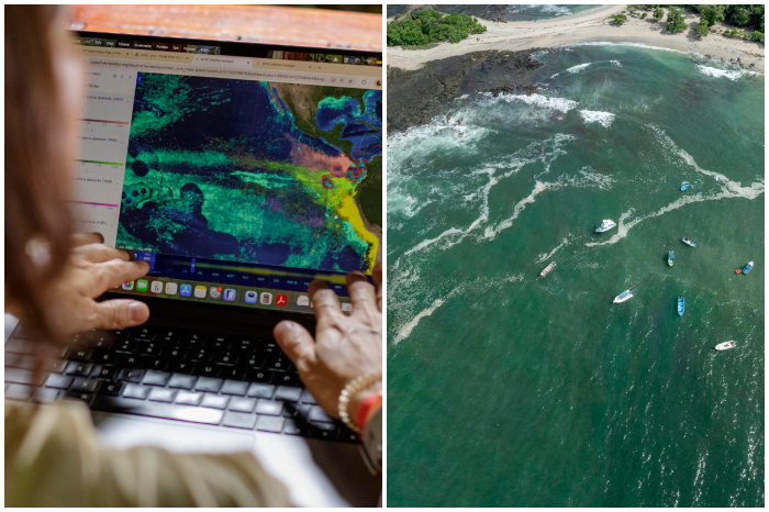 Ojos en el mar: Así combate la tecnología la pesca ilegal en el Pacífico