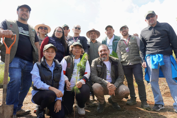 Personas plantando árboles nativos en bosque de Michoacán