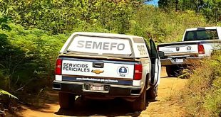 Peritos de la Fiscalía trabajando en una brecha de terracería tras hallazgo de un cuerpo.