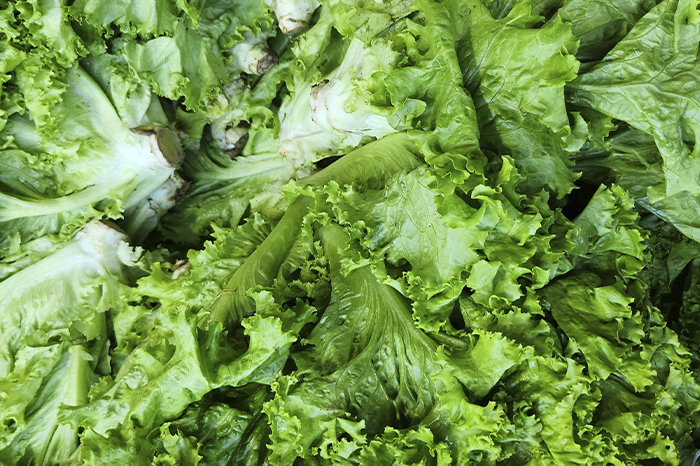 Envases de ensaladas y lechugas en un estante de supermercado.
