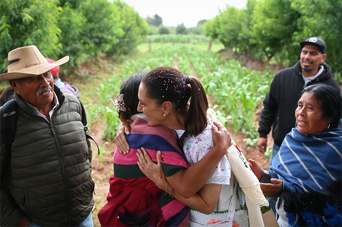La presidenta Claudia Sheinbaum recorriendo parcelas de Sembrando Vida en Pátzcuaro, Michoacán.