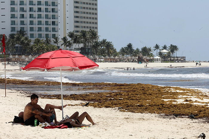 sSargazo acumulado en la orilla de una playa del Caribe mexicano afectando la ocupación turística