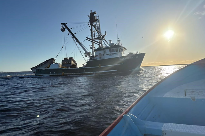 Conapesca retuvo 462 toneladas de producto pesquero ilegal durante junio de 2026 en 19 estados de México.