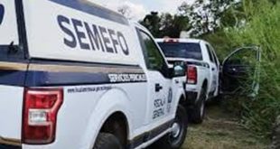 Elementos de la Fiscalía General del Estado realizan diligencias tras el hallazgo de un hombre asesinado en una huerta de limón en Parácuaro.