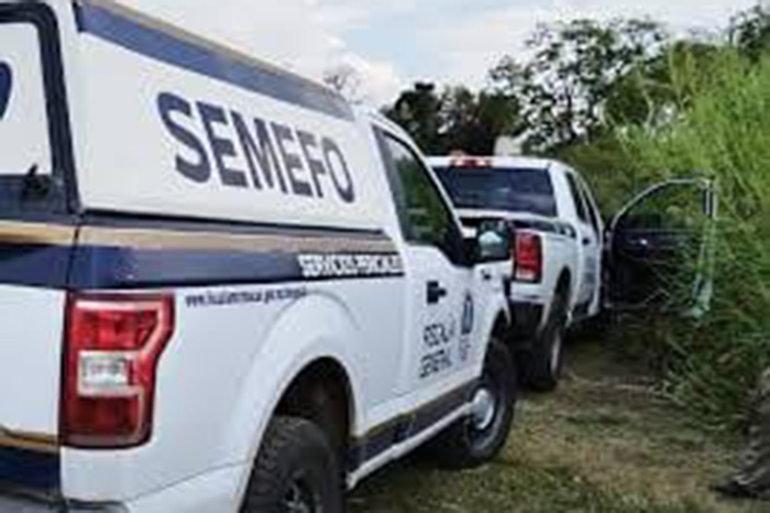 Elementos de la Fiscalía General del Estado realizan diligencias tras el hallazgo de un hombre asesinado en una huerta de limón en Parácuaro.