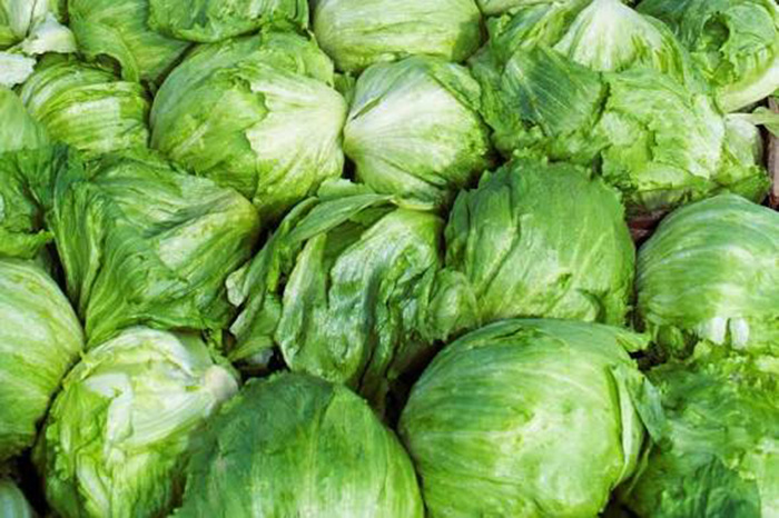 Lechugas iceberg de Taylor Farms producidas en México fueron analizadas por Cofepris con resultados negativos a ciclosporiasis.