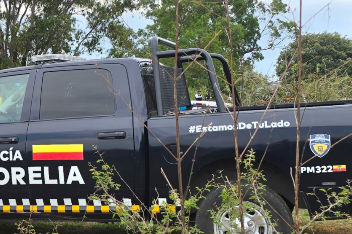Unidades de emergencia y elementos de seguridad en una zona rural de Michoacán.