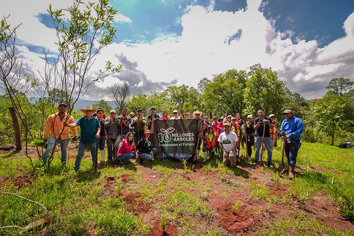 Ciudadanos y funcionarios del Gobierno de Ario participando en la jornada de plantación de árboles en el Cerro de La Leona.