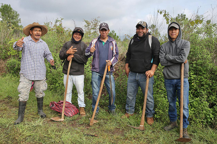 Jornada de reforestación en San Pedro Pareo, Pátzcuaro, encabezada por el gobernador Alfredo Ramírez Bedolla para proteger la cuenca del lago.