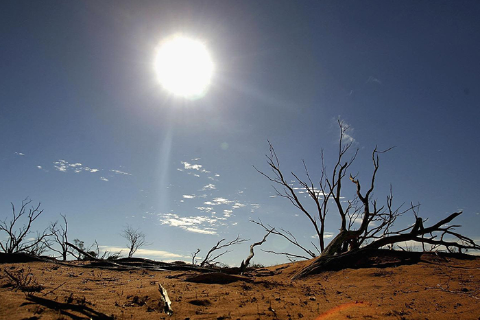 Sequía provocada por el fenómeno El Niño.