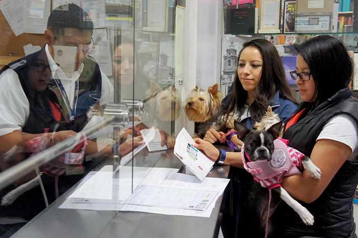Personal de inspección sanitaria revisando documentación en zonas fronterizas.