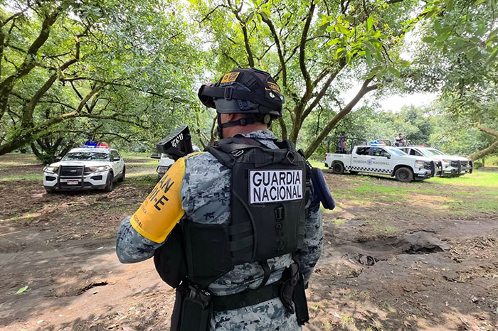 Elementos de la Guardia Nacional y del Ejército Mexicano realizando patrullajes en regiones agrícolas.