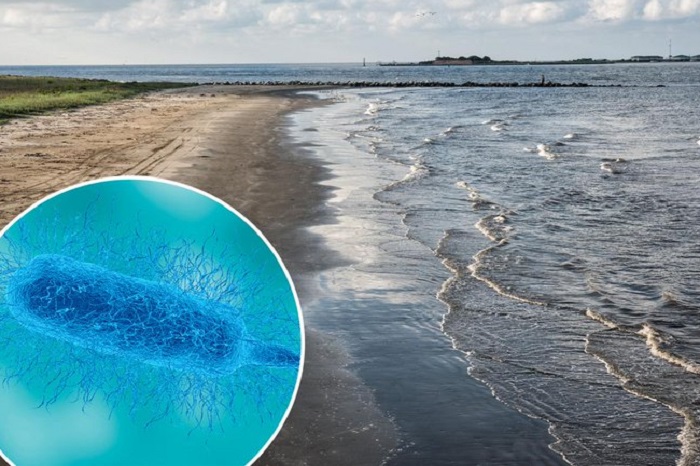 Las infecciones mortales por bacterias come-carne aumentan en EUA