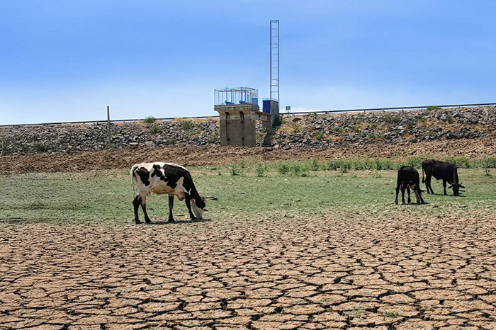 Paisaje árido y seco afectado por la escasez de agua y las altas temperaturas en el país.