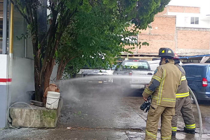 Elementos de bomberos trabajando con mangueras para sofocar las llamas en un árbol urbano.