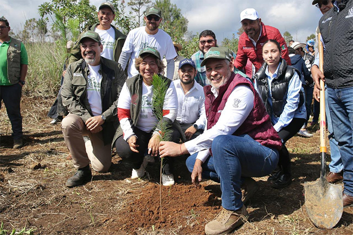 Campaña de reforestación y cuidado ambiental en áreas verdes de Morelia.