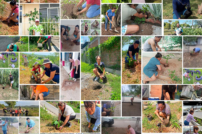 Ciudadanos plantando árboles en un área verde urbana durante una jornada ecológica.