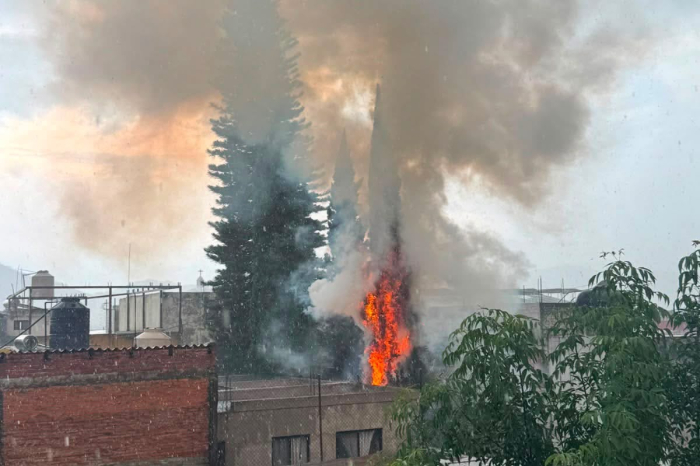 Árbol se incendia tras caerle un rayo