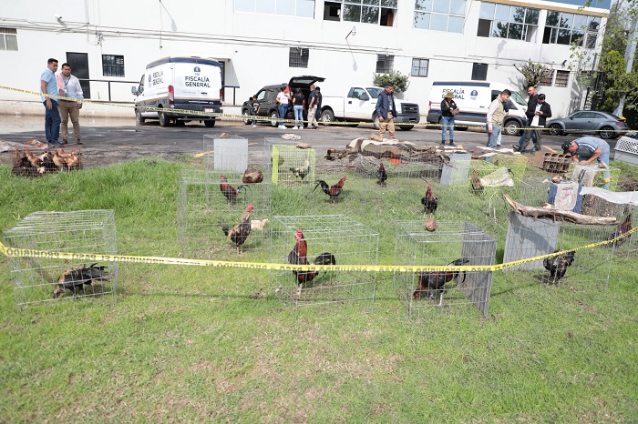 Aseguran inmuebles en Lagunillas tras cateos por robo de autos