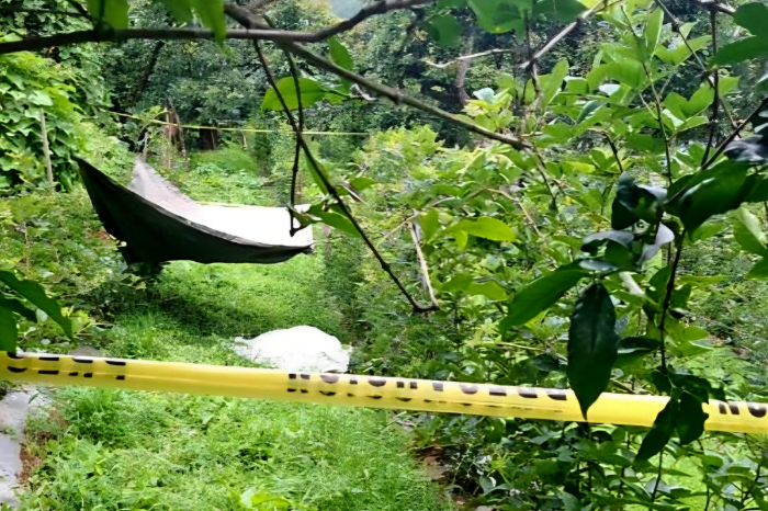 Hombre localizado sin vida en una huerta de zarzamora en Tacámbaro