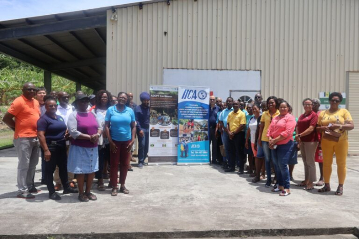 Participantes de la rueda de negocios agroalimentaria organizada por el IICA para empresas de América Latina y el Caribe.