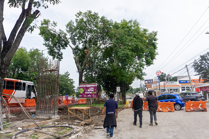 Zoológico de Morelia vigila fauna urbana en la zona de Tres Puentes por obras del Morebús