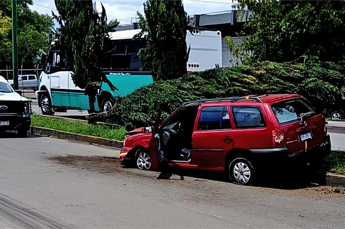 Vehículo accidentado junto a un árbol derribado en el camellón de la avenida Periodismo en Morelia.
