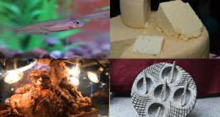 Michoacán suma 14 productos con blindaje de origen