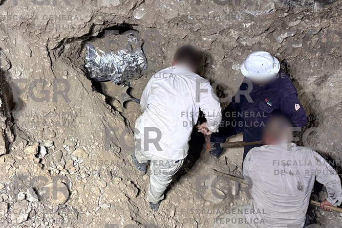 Personal de seguridad y peritos de la fiscalía resguardando un predio intervenido por tomas clandestinas de hidrocarburo.