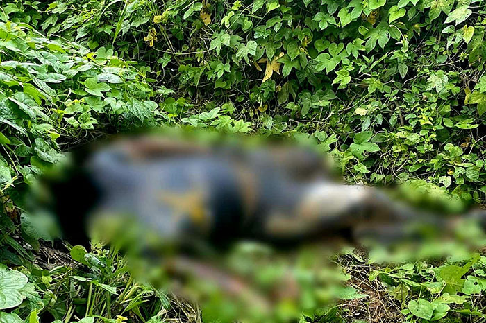 Hombre decapitado y cartuchos localizados en Los Coyotes