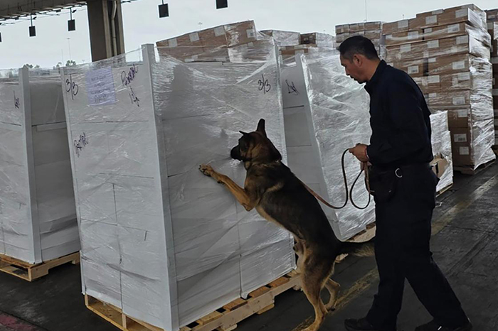 Aseguran 1.3 toneladas de metanfetamina y 10 kilos de fentanilo en Tijuana