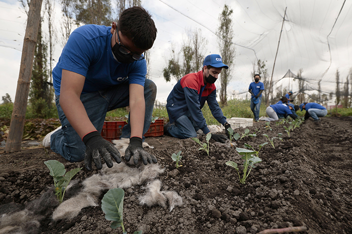 Cabello reciclado utilizado para reducir contaminación en canales de Xochimilco